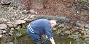 池のヘドロを素早く簡単に掃除する方法